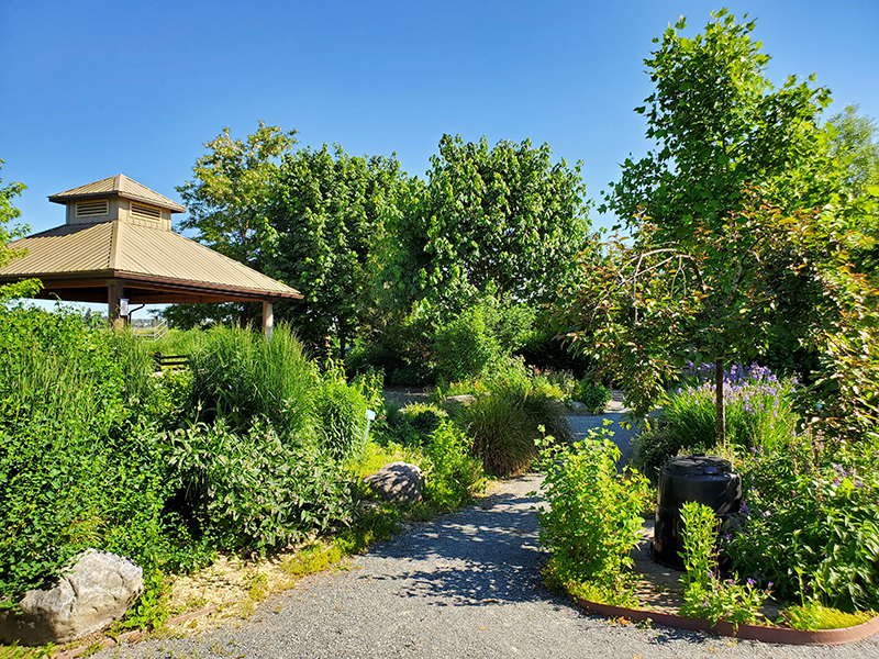 Locations & Gardens Arboretum Botanical Society of Langley